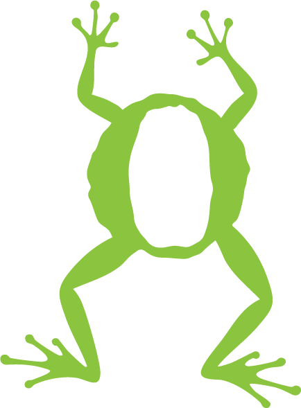 Froggy